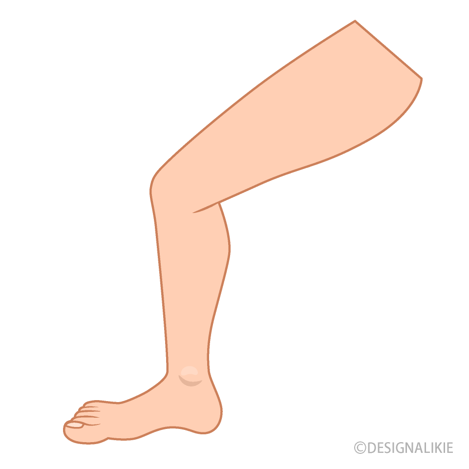 女性の脚