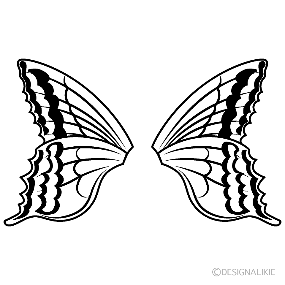 蝶の羽根