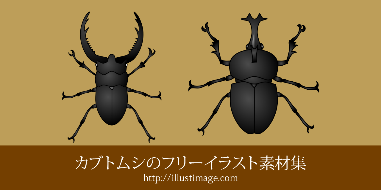 まとめ カブトムシのフリーイラスト素材集 イラストイメージ