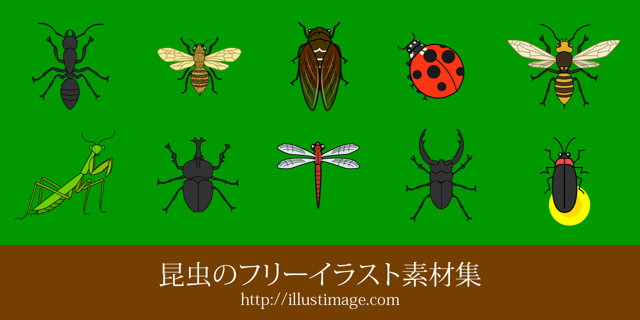 最新 リアル かっこいい カマキリ イラスト カワザワル