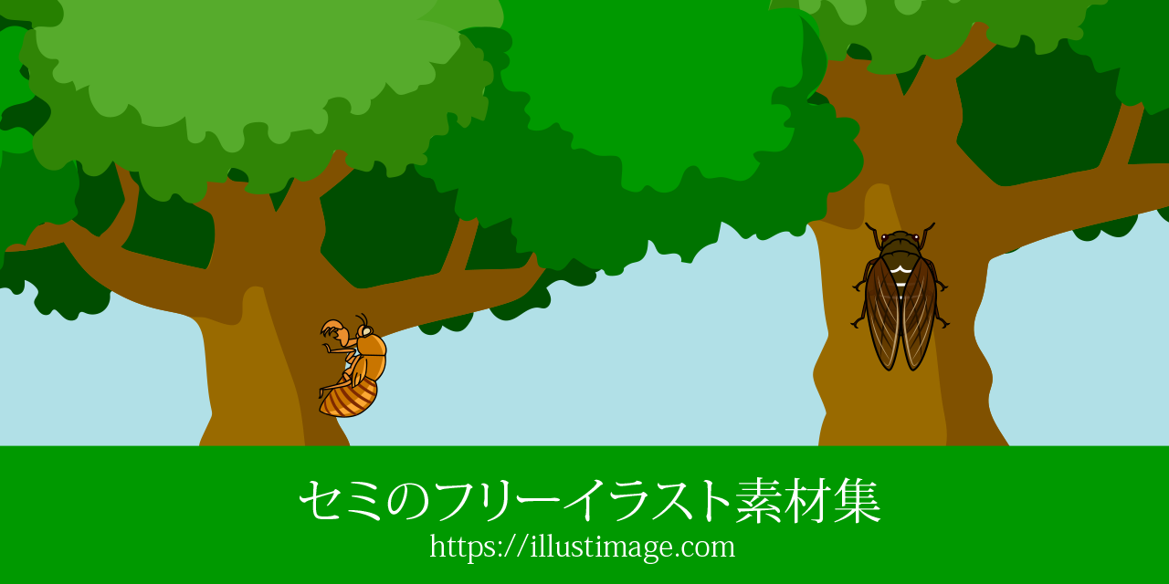 まとめ セミの無料イラスト素材集 イラストイメージ