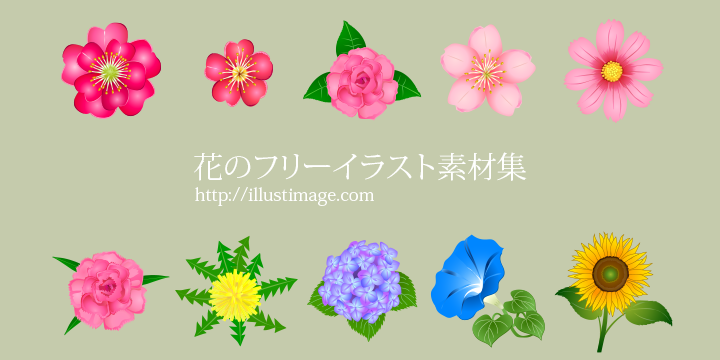 花の無料イラスト素材集