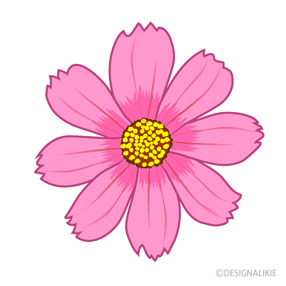 コスモスの花イラストのフリー素材 イラストイメージ