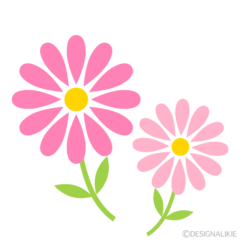 可愛いコスモスの野花イラストのフリー素材 イラストイメージ