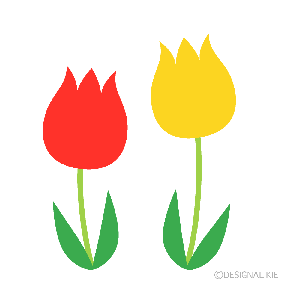 赤と黄色の可愛いチューリップイラストのフリー素材 イラストイメージ