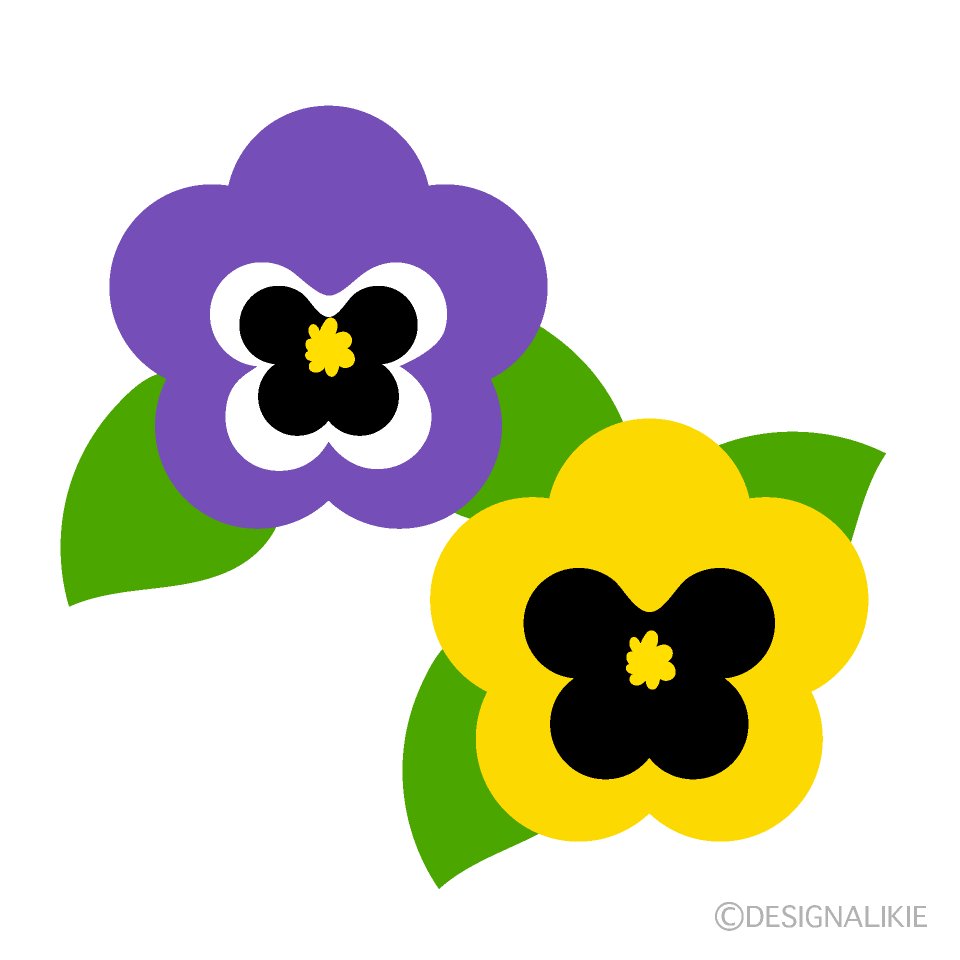 紫と黄色の可愛いパンジーの無料イラスト素材 イラストイメージ