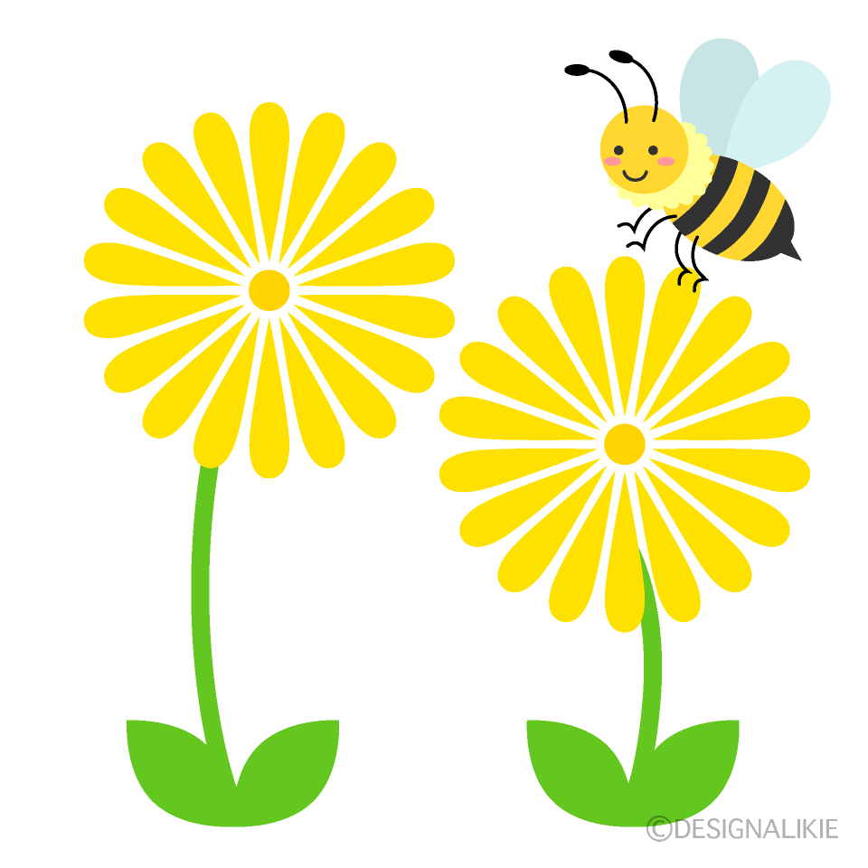 可愛いハチとタンポポイラストのフリー素材 イラストイメージ
