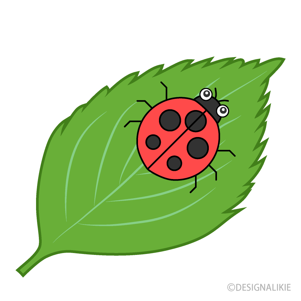 葉っぱのてんとう虫の無料イラスト素材 イラストイメージ