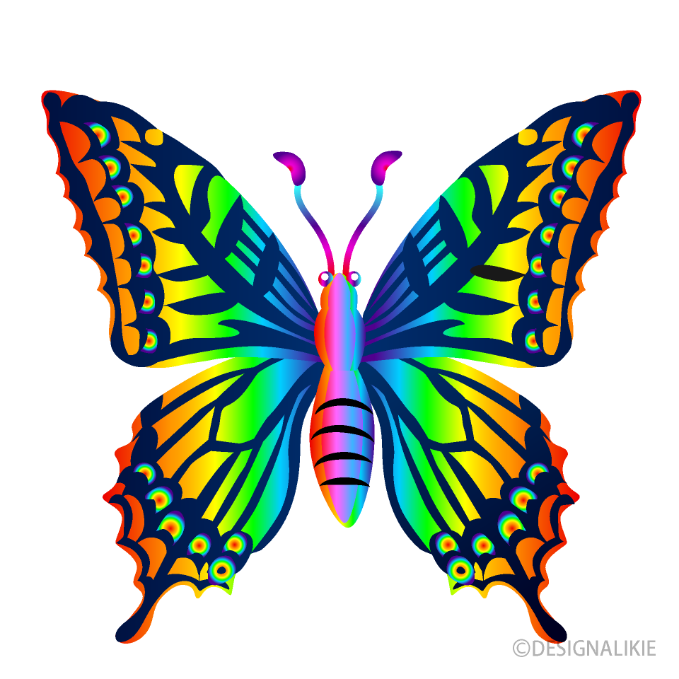 虹色のアゲハの無料イラスト素材 イラストイメージ