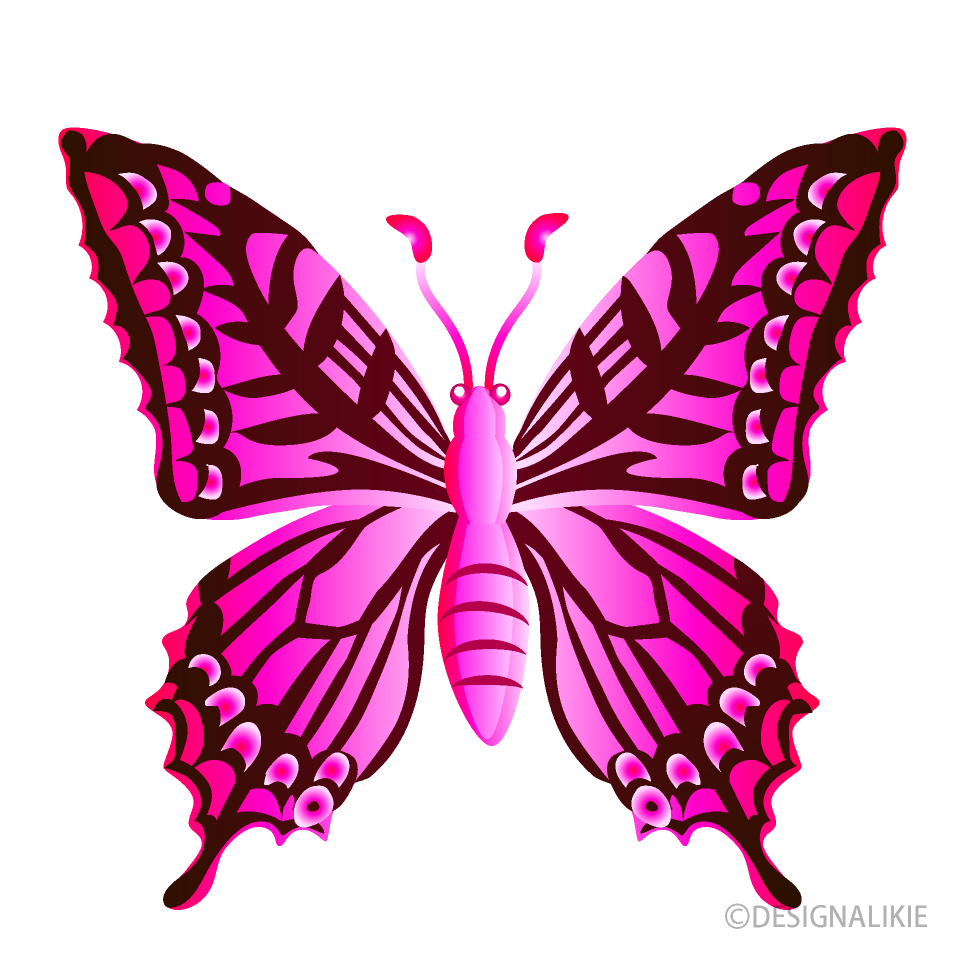 ピンク色アゲハチョウイラストのフリー素材 イラストイメージ