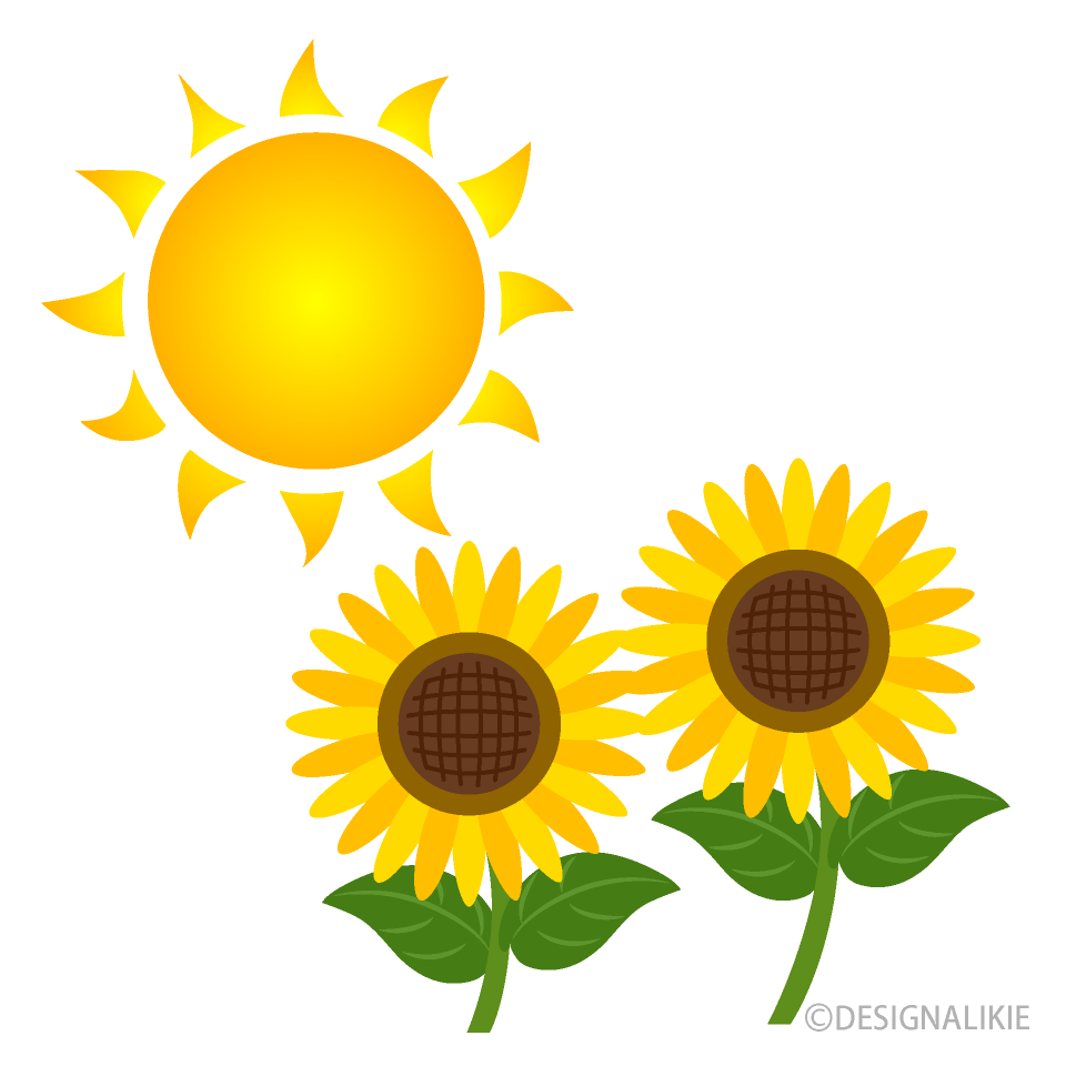夏の太陽とひまわりイラストのフリー素材 イラストイメージ