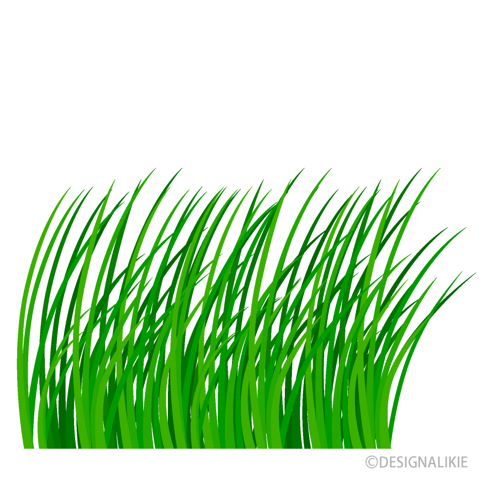 草むらイラストのフリー素材 イラストイメージ
