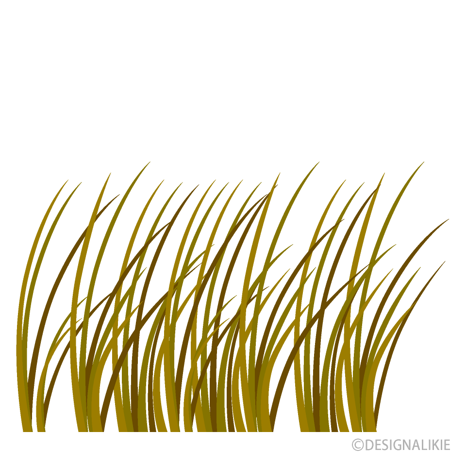 枯れた草むらイラストのフリー素材 イラストイメージ