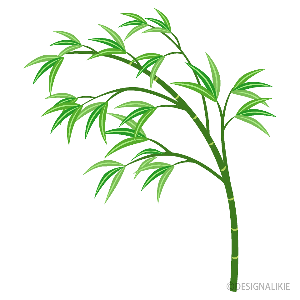 竹の笹イラストのフリー素材 イラストイメージ