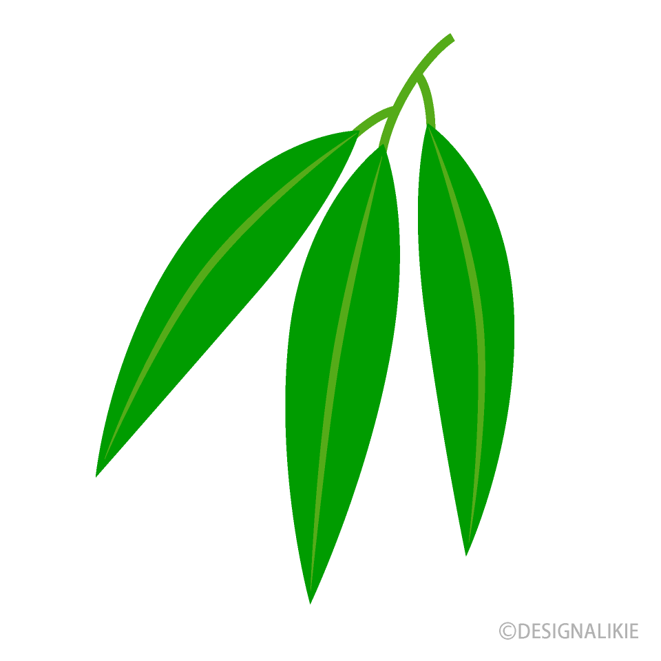 竹の葉っぱイラストのフリー素材 イラストイメージ