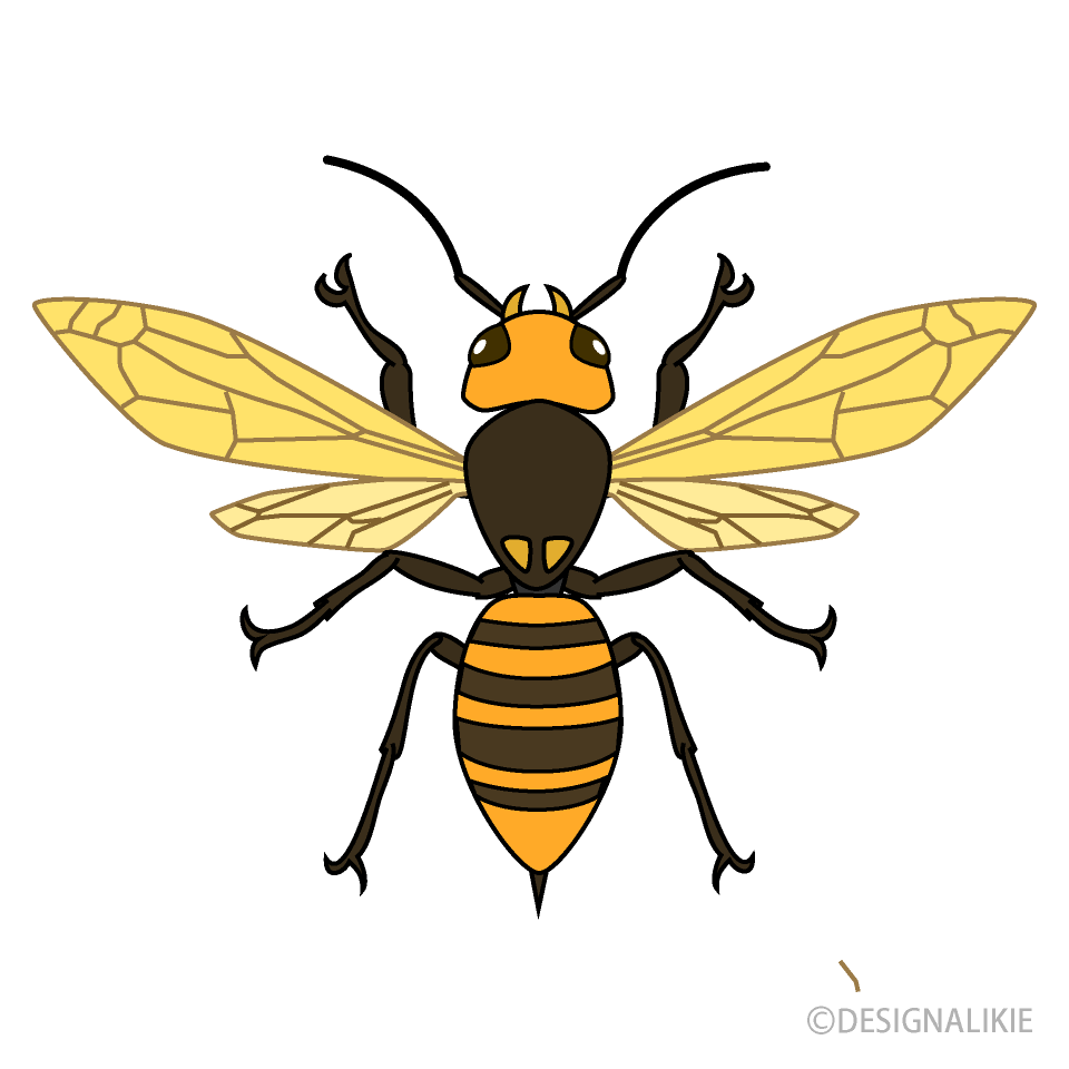 雀蜂の無料イラスト素材 イラストイメージ