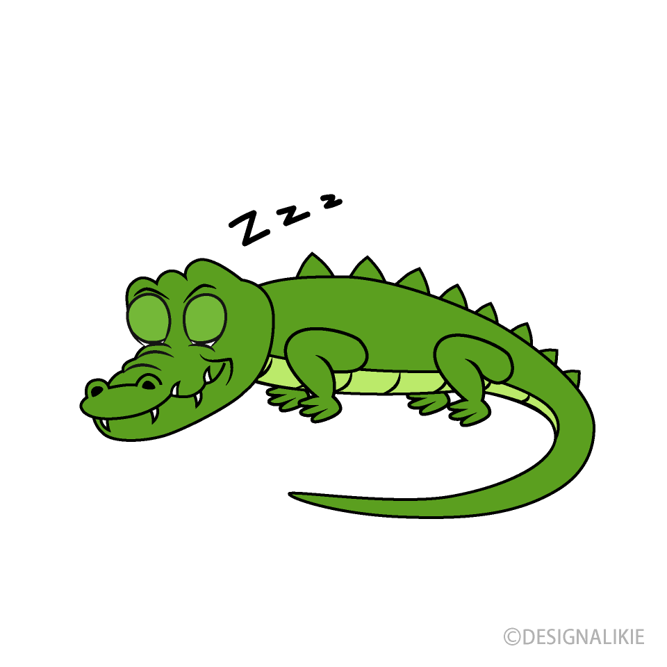 眠るワニ