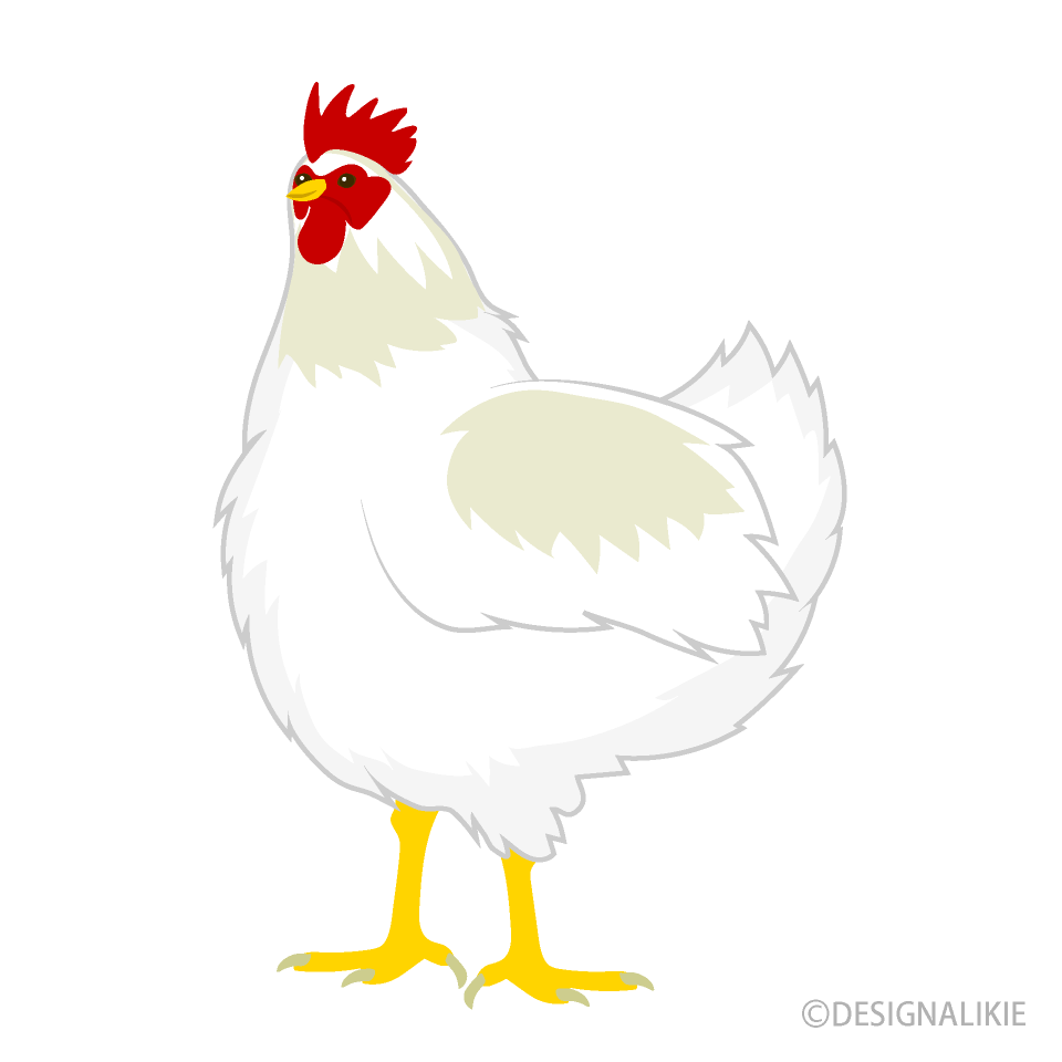 50 鶏 イラスト リアル かわいいディズニー画像