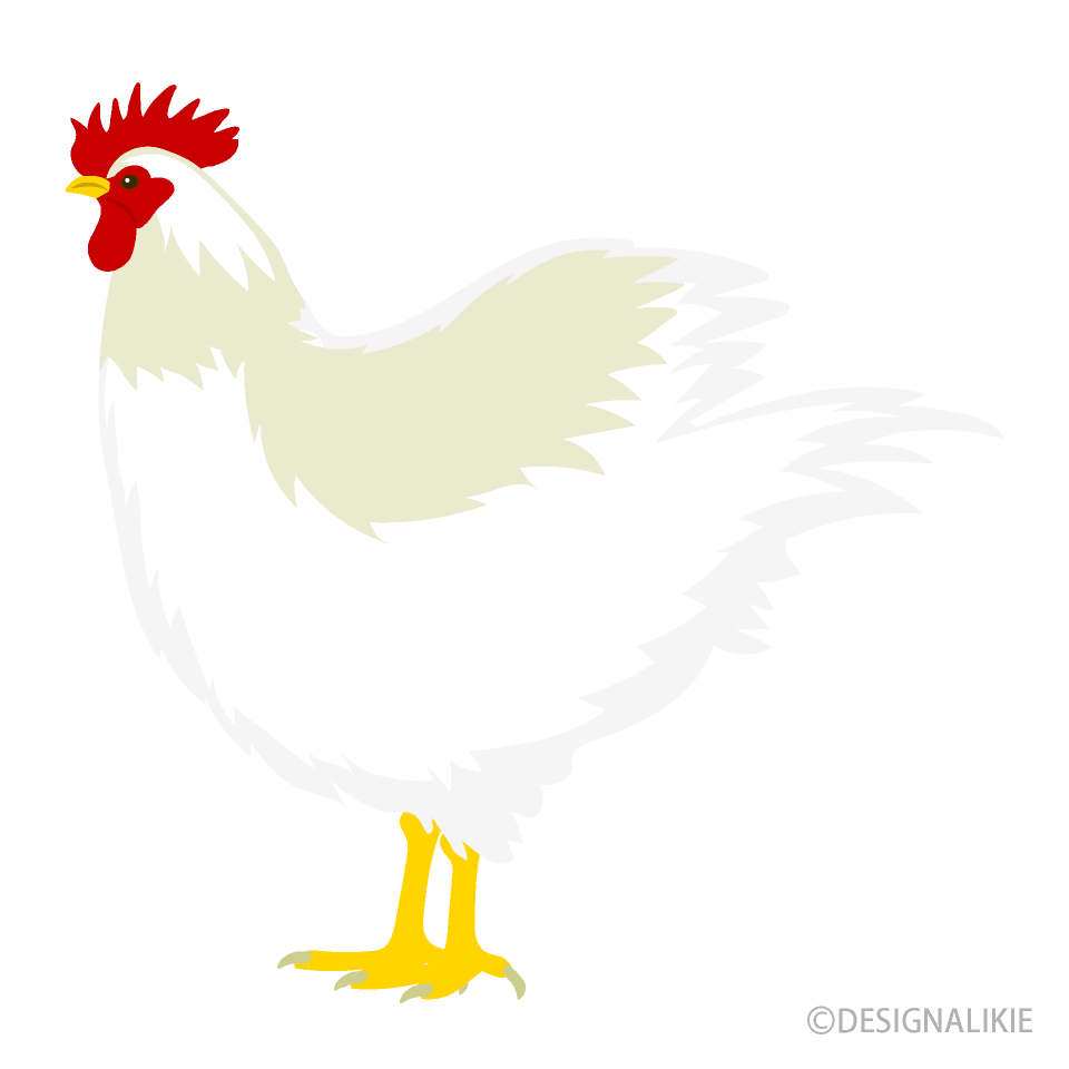 横から見た鶏の無料イラスト素材 イラストイメージ