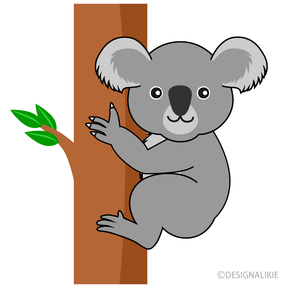 木を上るコアラの無料イラスト素材 イラストイメージ