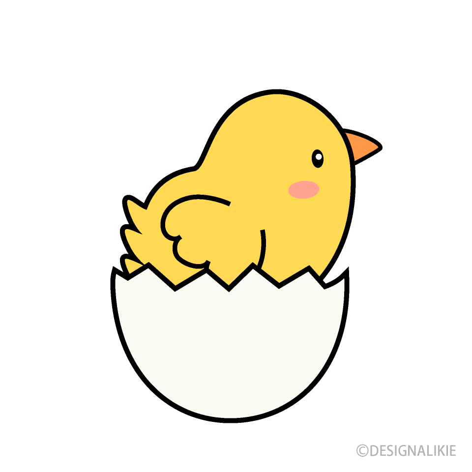 卵から出るヒヨコイラストのフリー素材 イラストイメージ