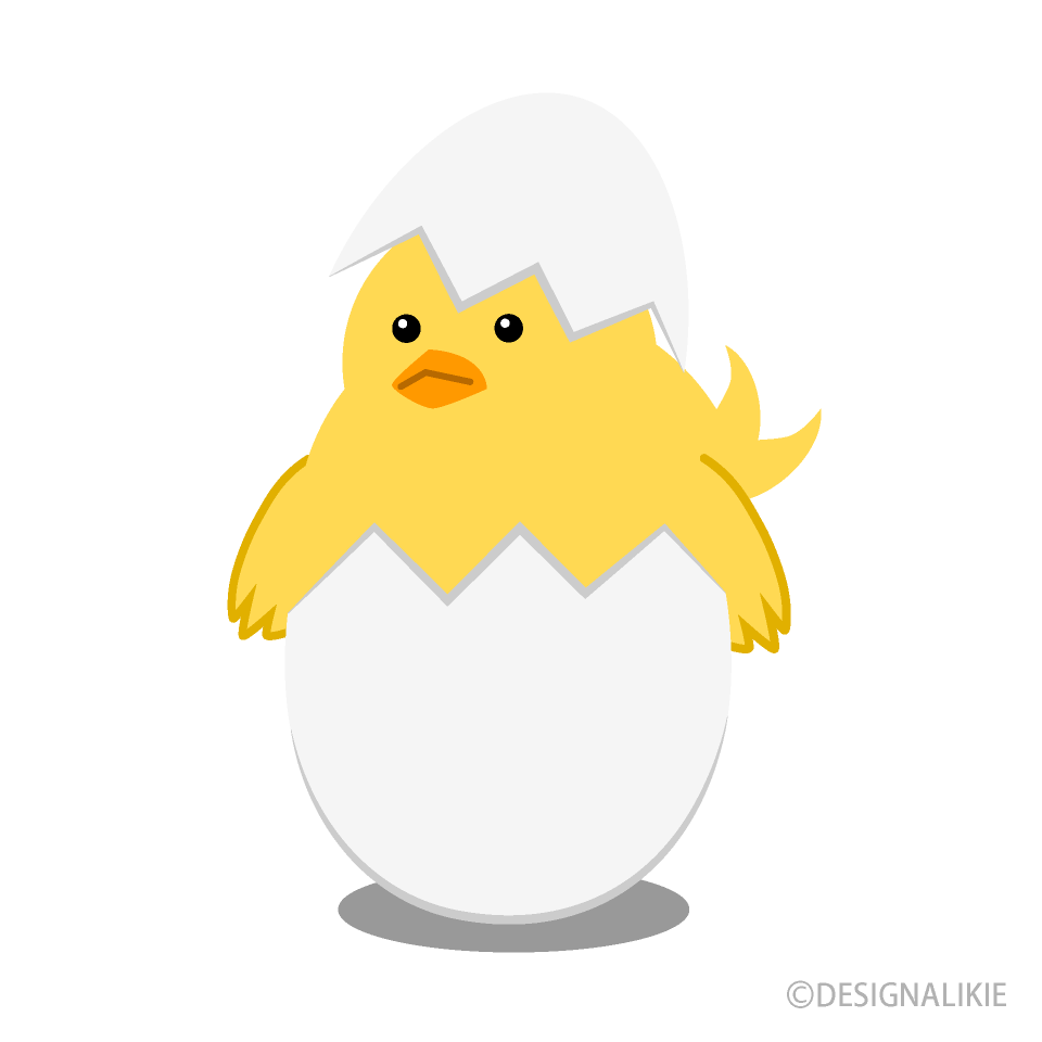 卵から生まれたヒヨコの無料イラスト素材 イラストイメージ