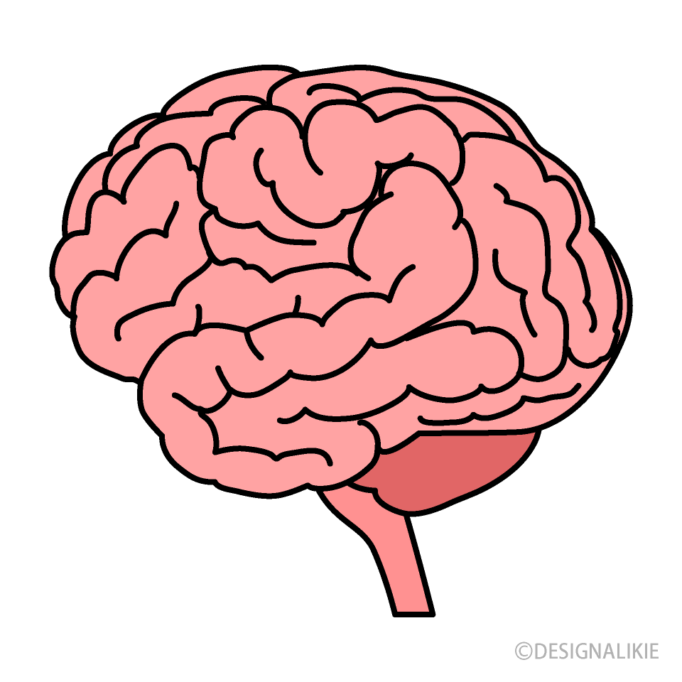 脳みそイラストのフリー素材 イラストイメージ