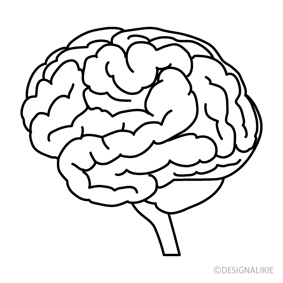 白黒の脳みそイラストのフリー素材 イラストイメージ