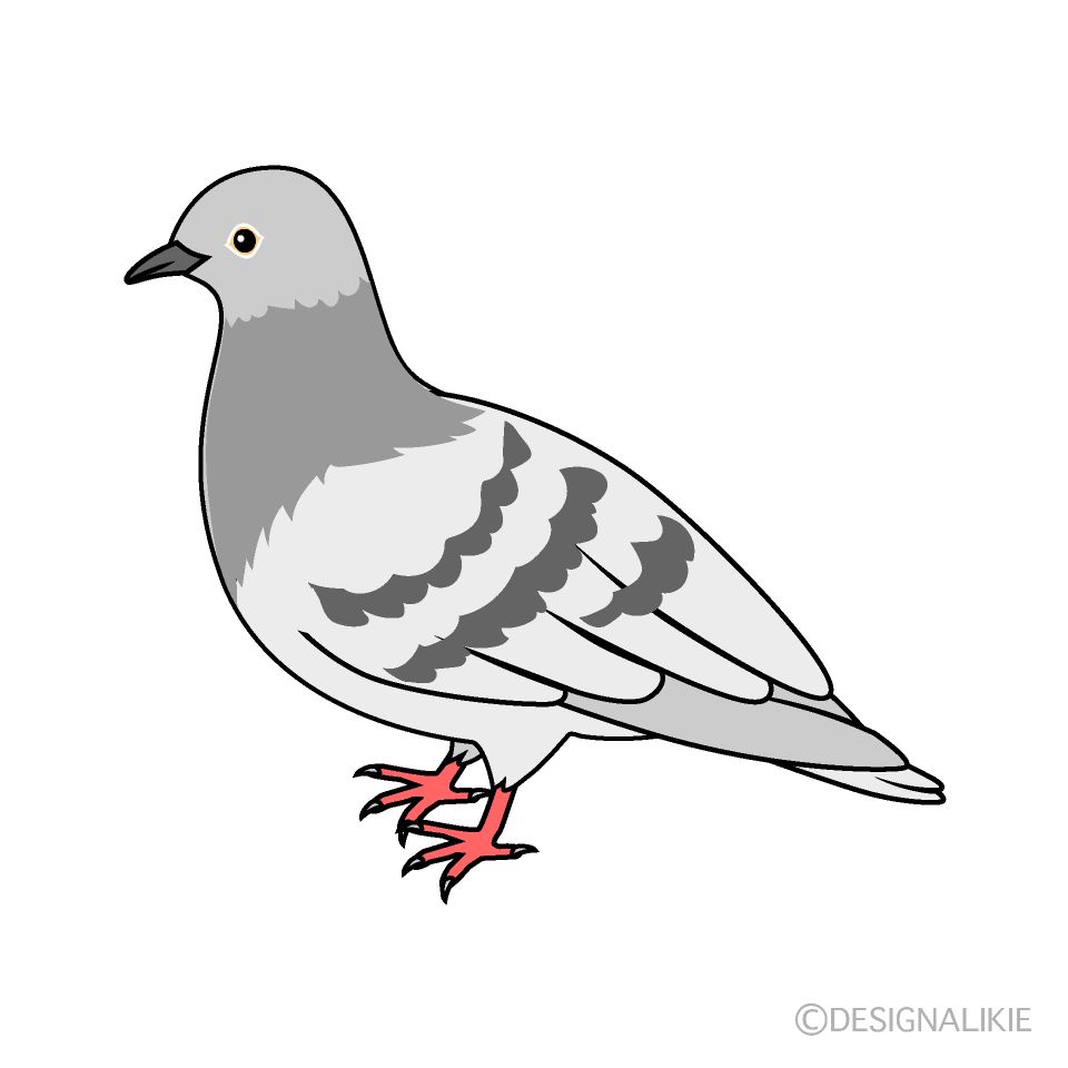 トップ100 イラスト 鳩 かわいい動物画像