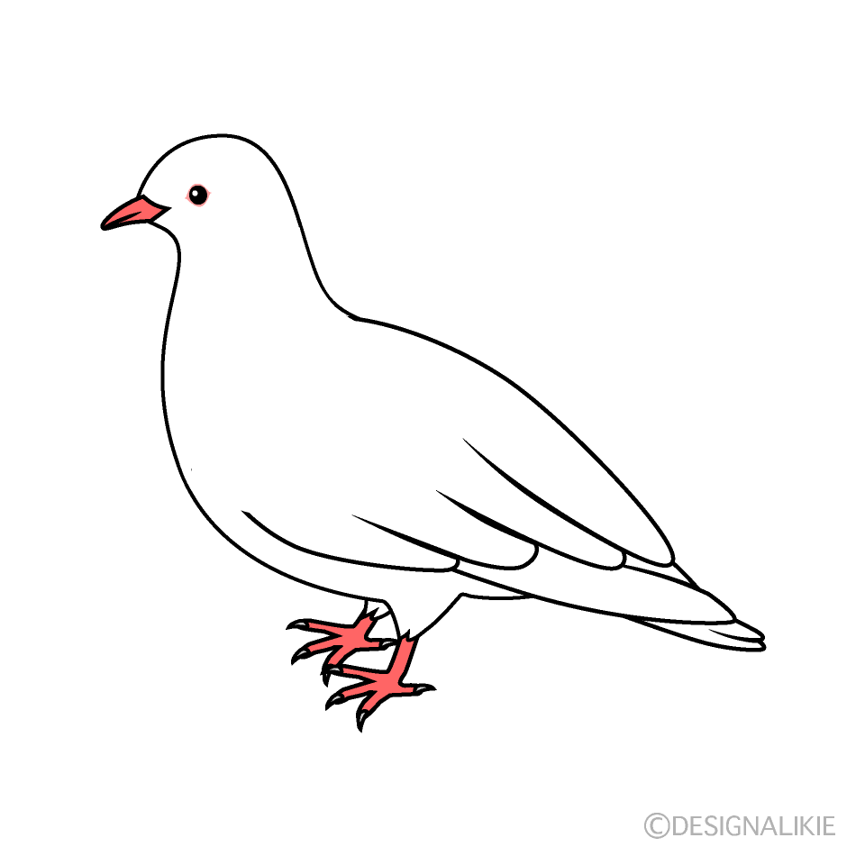 白い鳩の無料イラスト素材 イラストイメージ