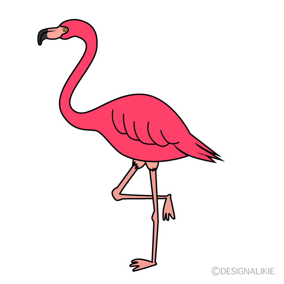 ピンクのフラミンゴの無料イラスト素材 イラストイメージ