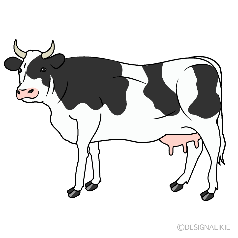ホルスタインの乳牛イラストのフリー素材｜イラストイメージ