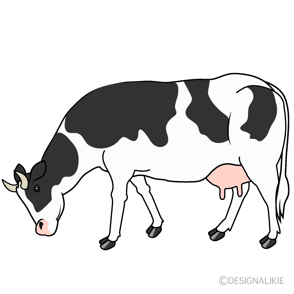 草を食べる乳牛イラストのフリー素材｜イラストイメージ