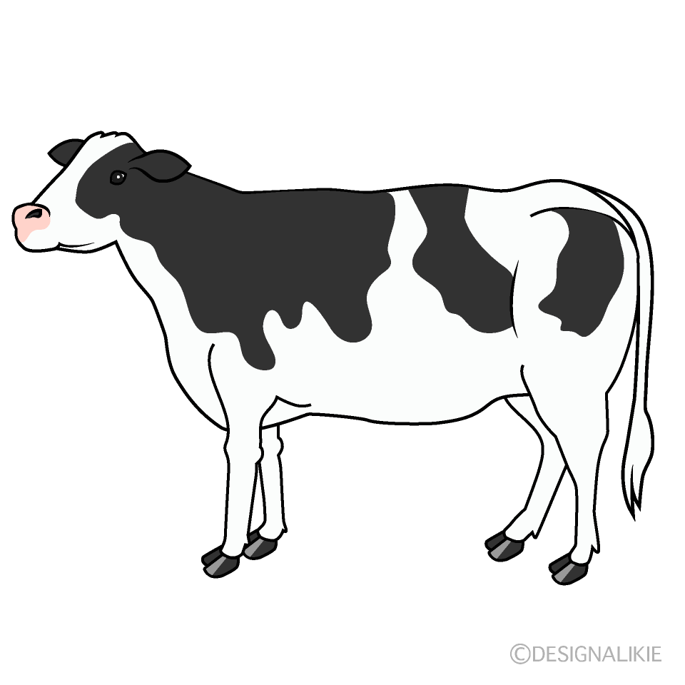 角の無い牛イラストのフリー素材 イラストイメージ