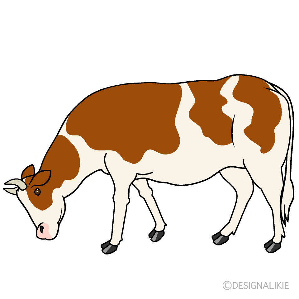 草を食べる茶色模様の牛の無料イラスト素材 イラストイメージ