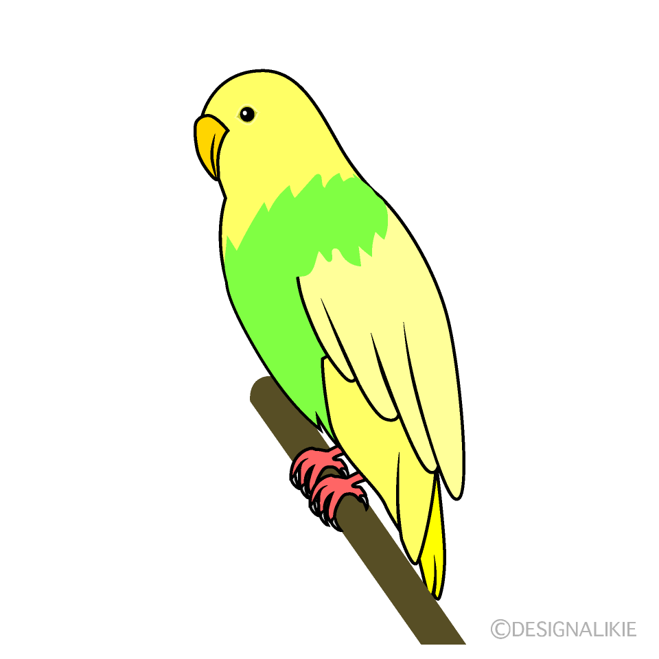 インコイラストのフリー素材 イラストイメージ