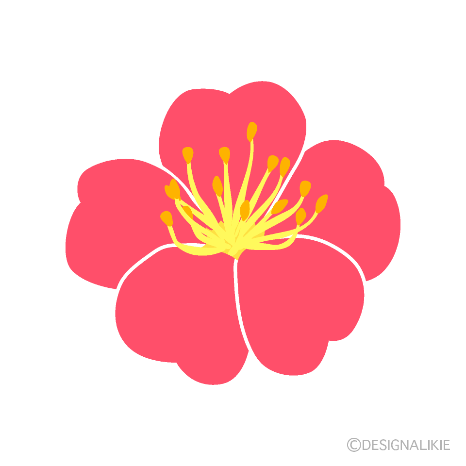 ピンクの梅の花 横 イラストのフリー素材 イラストイメージ