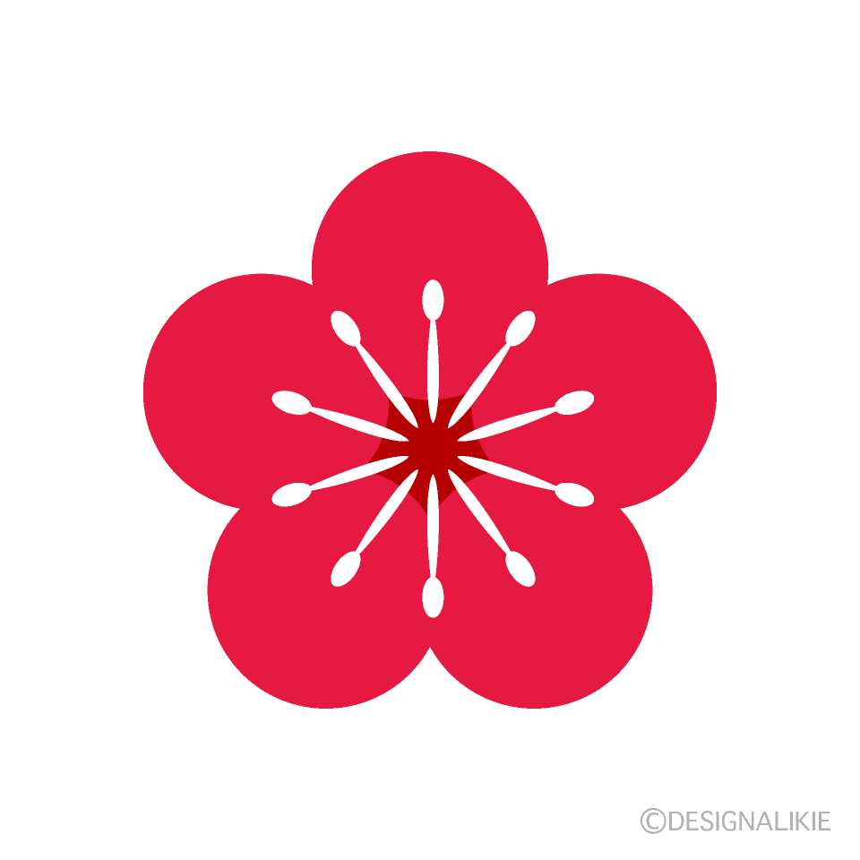 赤い梅の花