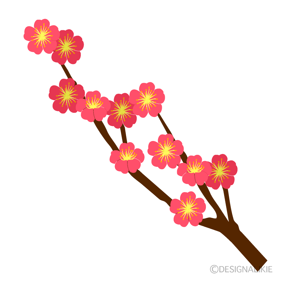 梅の枝の花イラストのフリー素材｜イラストイメージ