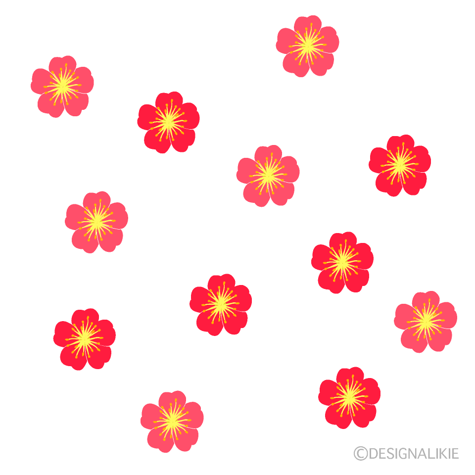 たくさんの梅の花イラストのフリー素材 イラストイメージ