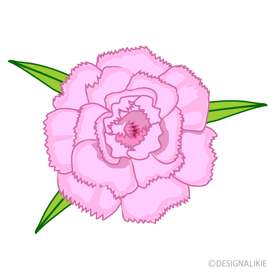 カーネーションの花イラストのフリー素材 イラストイメージ