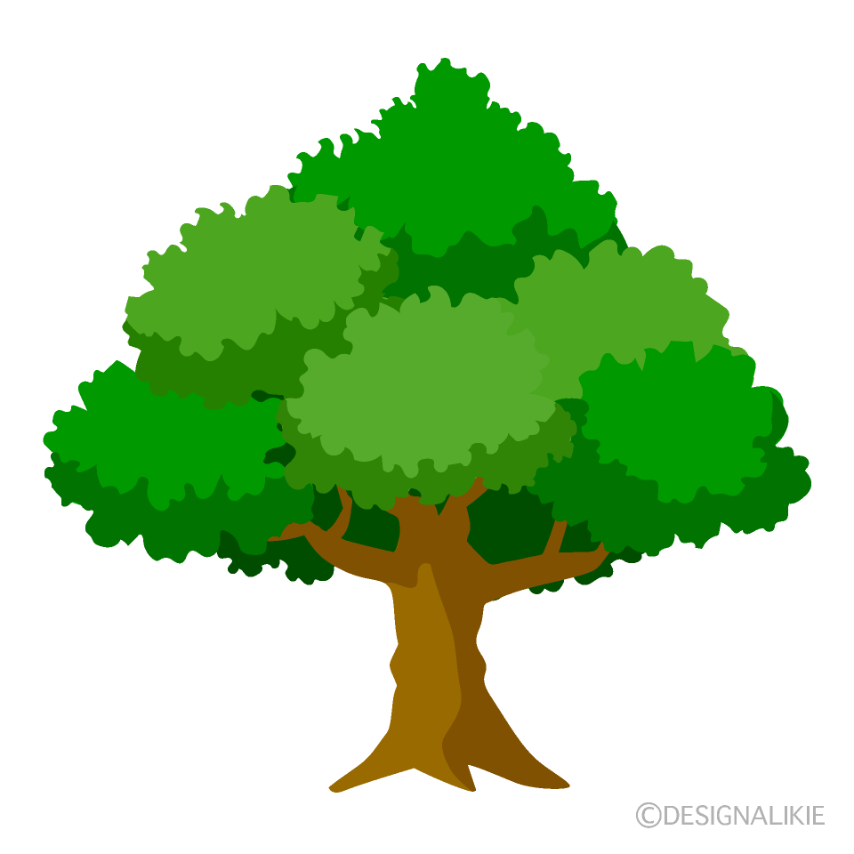 大きな緑木