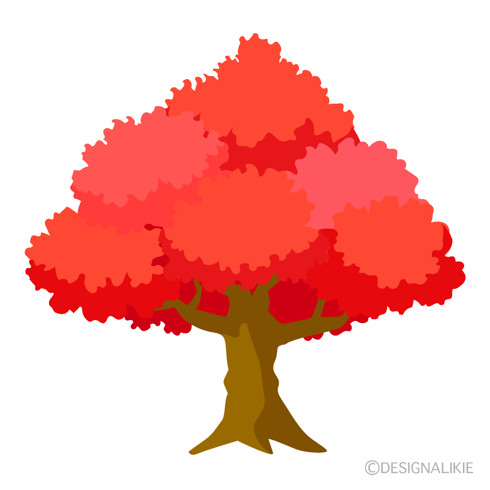 大きな紅葉木の無料イラスト素材 イラストイメージ