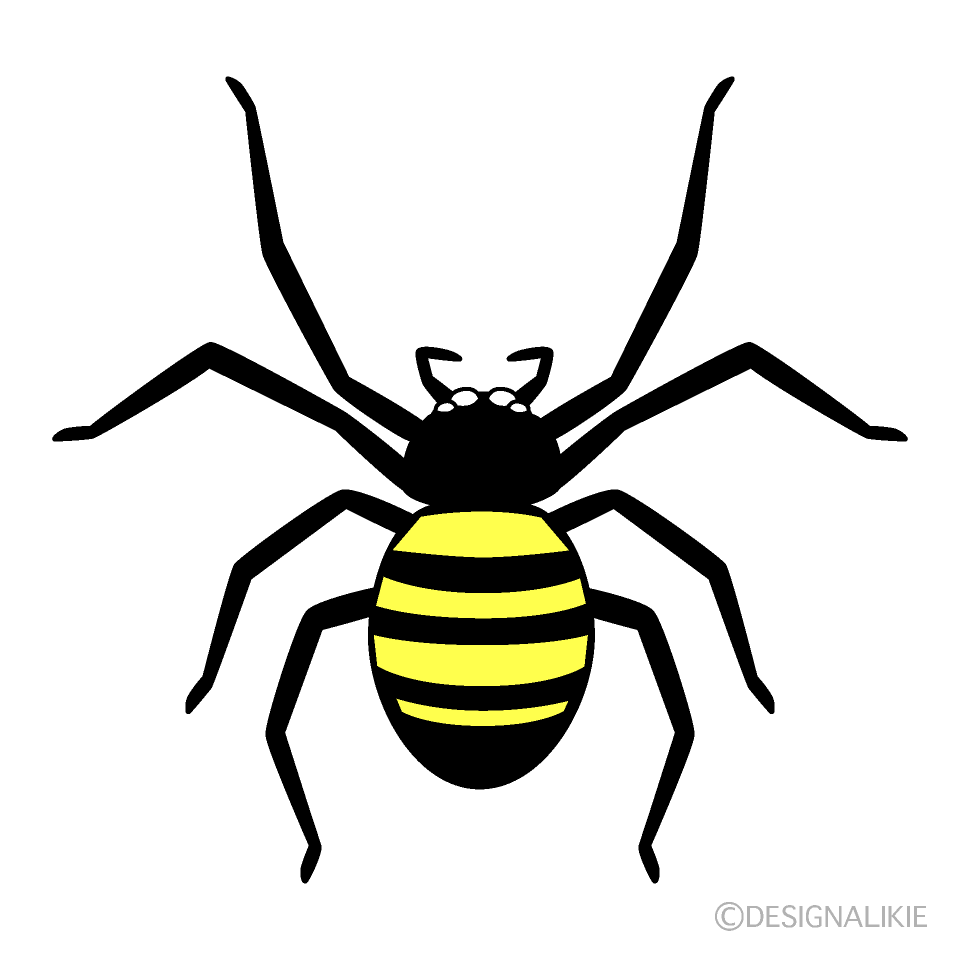 黄色縞の蜘蛛イラストのフリー素材｜イラストイメージ