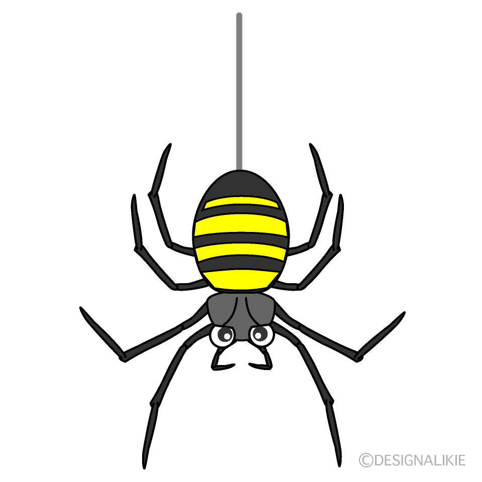 ぶら下がる蜘蛛の無料イラスト素材 イラストイメージ