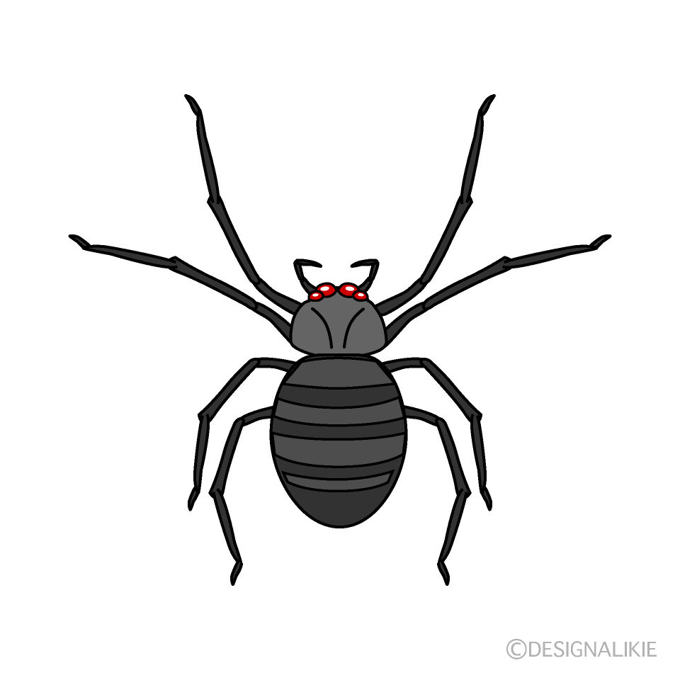 毒蜘蛛の無料イラスト素材 イラストイメージ