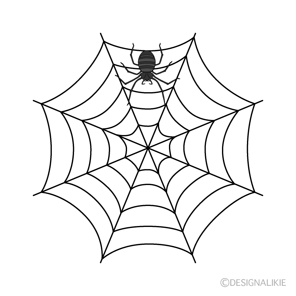 蜘蛛の巣の無料イラスト素材 イラストイメージ