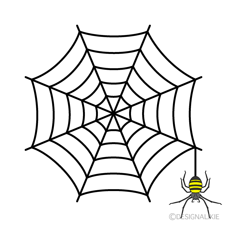 黄色の蜘蛛と巣