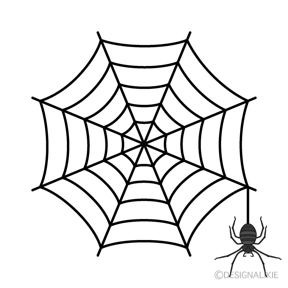 蜘蛛と巣イラストのフリー素材 イラストイメージ