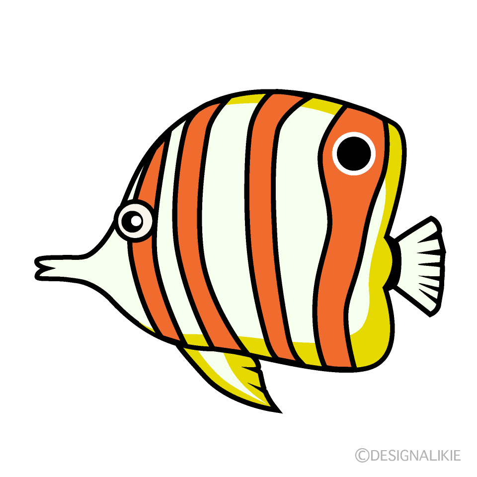 熱帯魚のエンゼルフィッシュの無料イラスト素材 イラストイメージ
